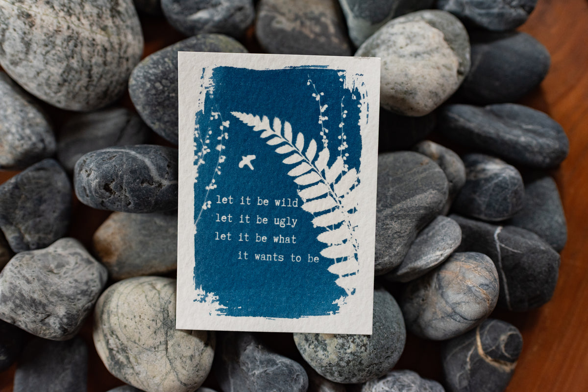 Dear Wild Heart COLLECTION 3 Catch-up package