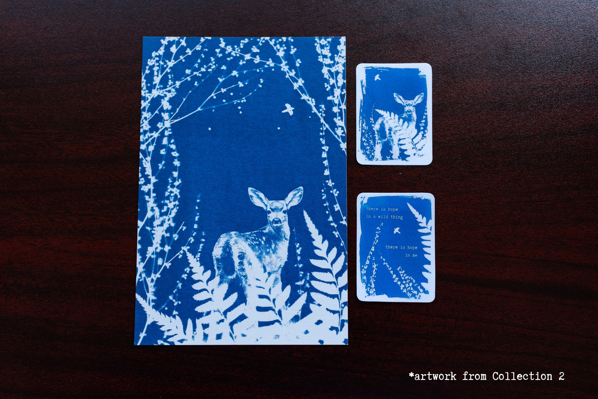 Dear Wild Heart Kindred Tier Subscription