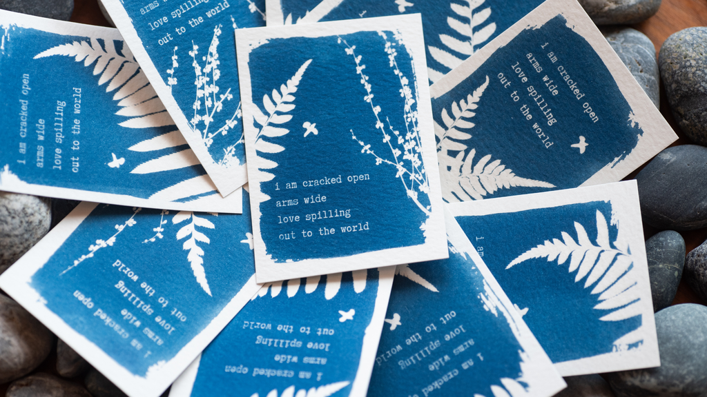 Dear Wild Heart COLLECTION 1 Catch-up package