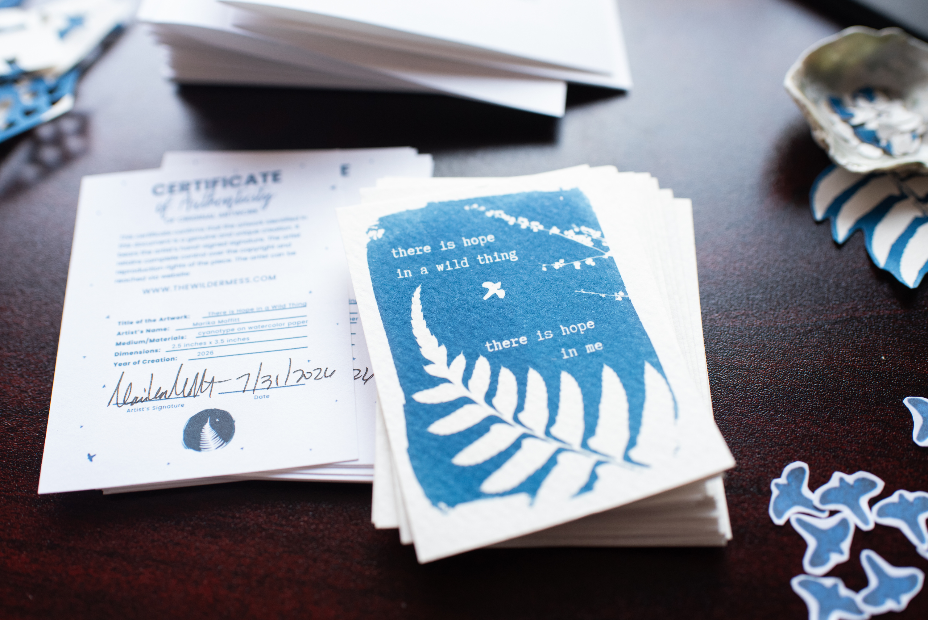 Dear Wild Heart COLLECTION 2 Catch-up package