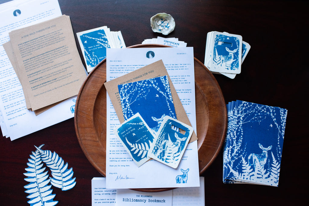 Dear Wild Heart COLLECTION 2 Catch-up package