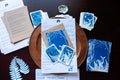 Dear Wild Heart COLLECTION 2 Catch-up package