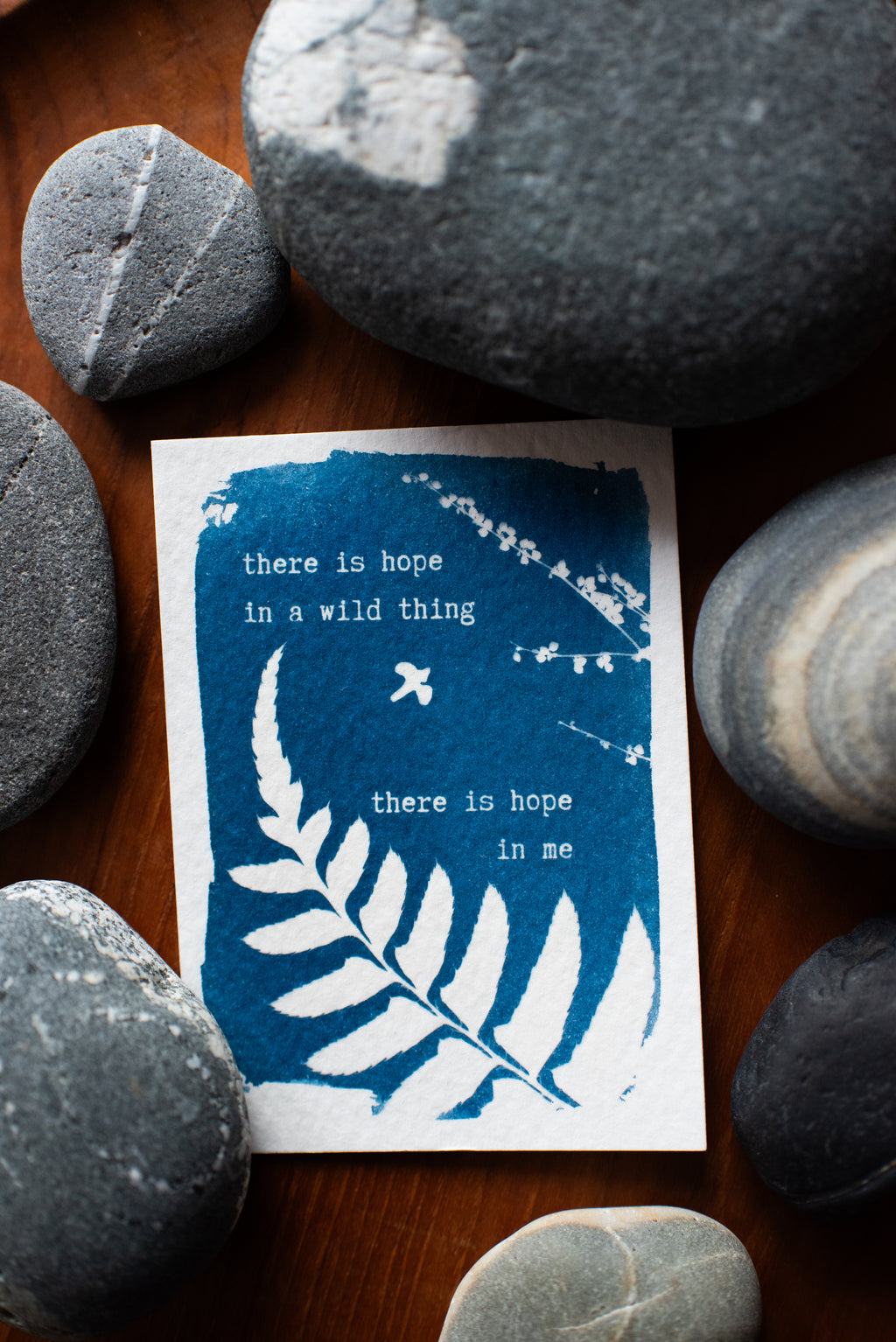 Dear Wild Heart COLLECTION 2 Catch-up package