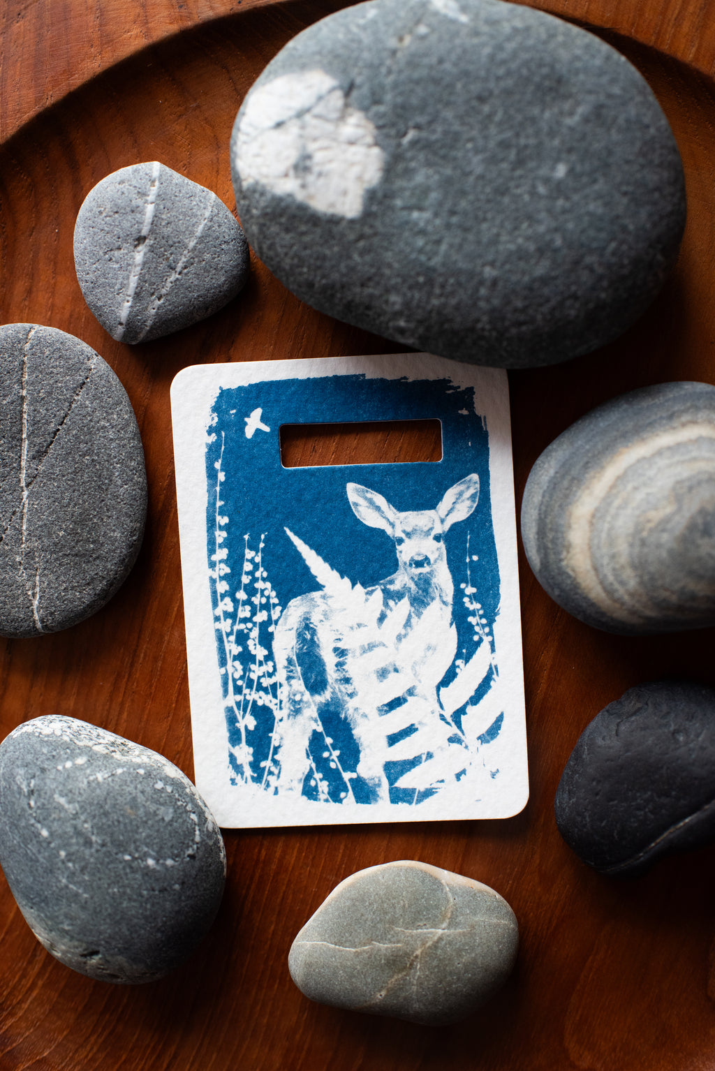 Dear Wild Heart COLLECTION 2 Catch-up package