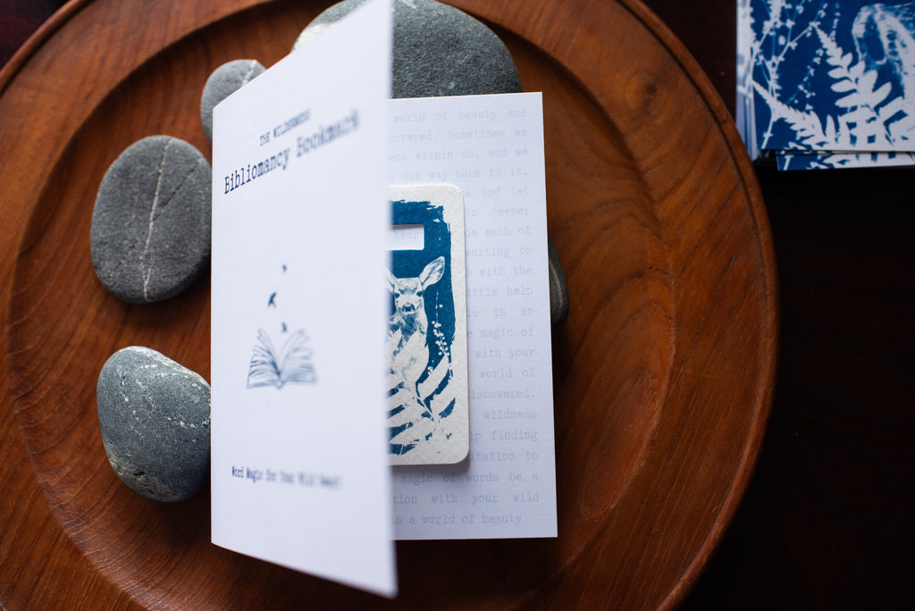 Dear Wild Heart COLLECTION 2 Catch-up package