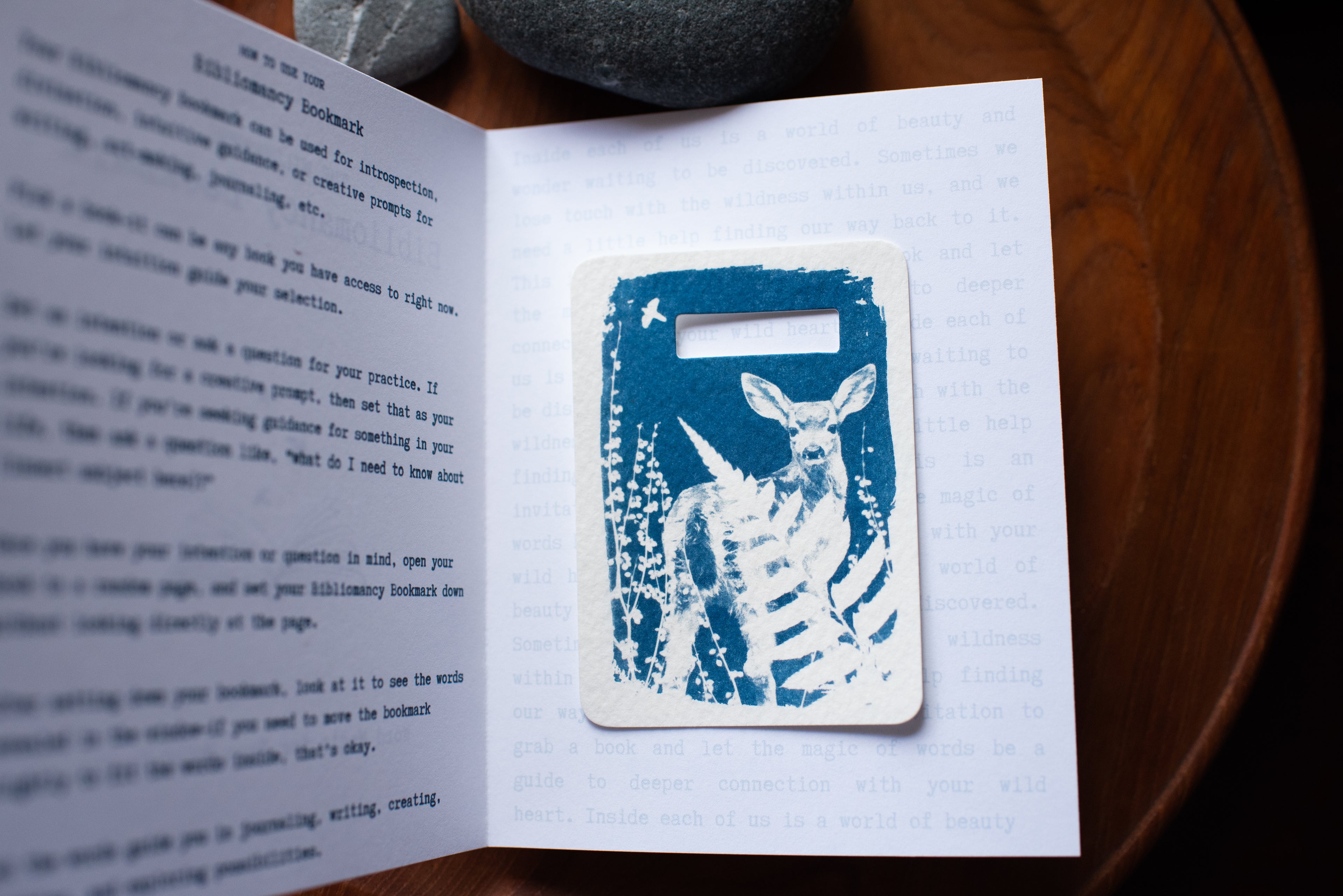 Dear Wild Heart COLLECTION 2 Catch-up package