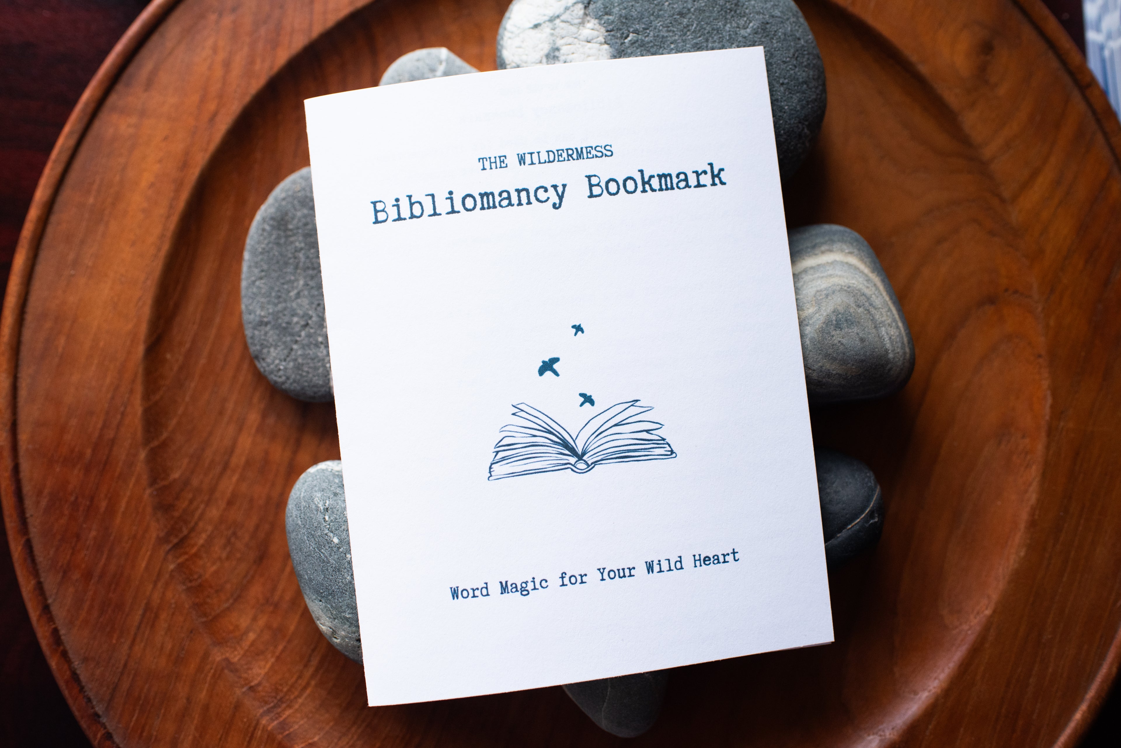 Dear Wild Heart COLLECTION 2 Catch-up package