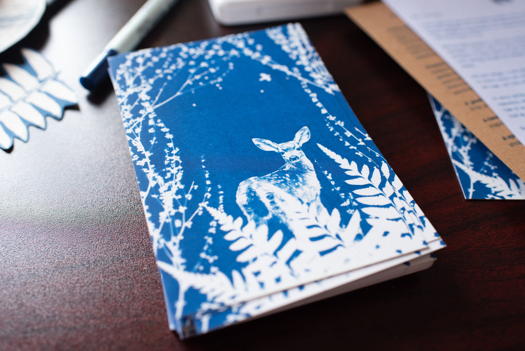Dear Wild Heart COLLECTION 2 Catch-up package