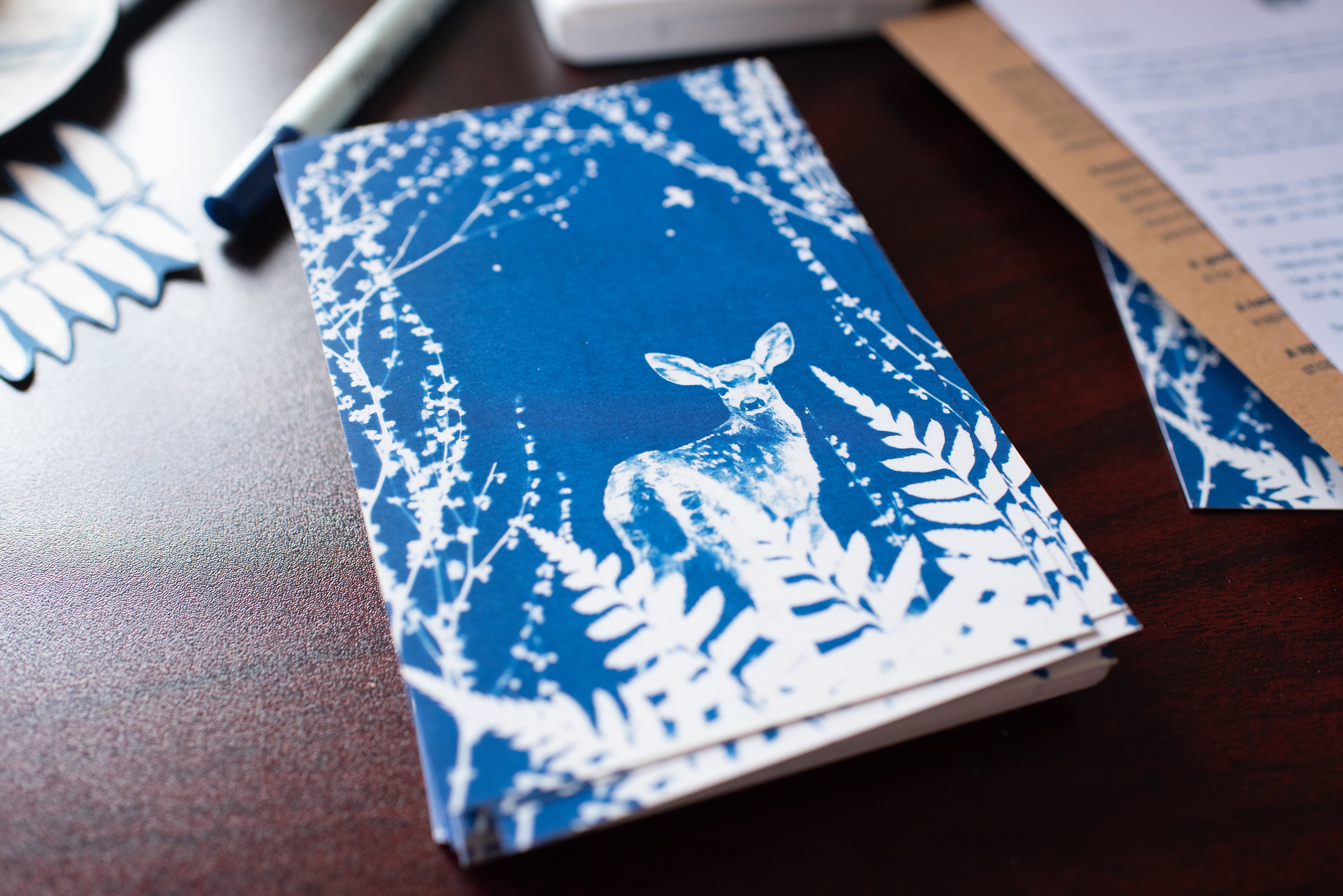 Dear Wild Heart COLLECTION 2 Catch-up package