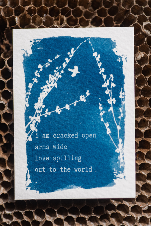 Dear Wild Heart COLLECTION 1 Catch-up package
