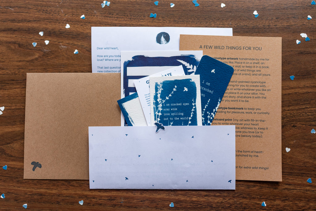 Dear Wild Heart COLLECTION 1 Catch-up package