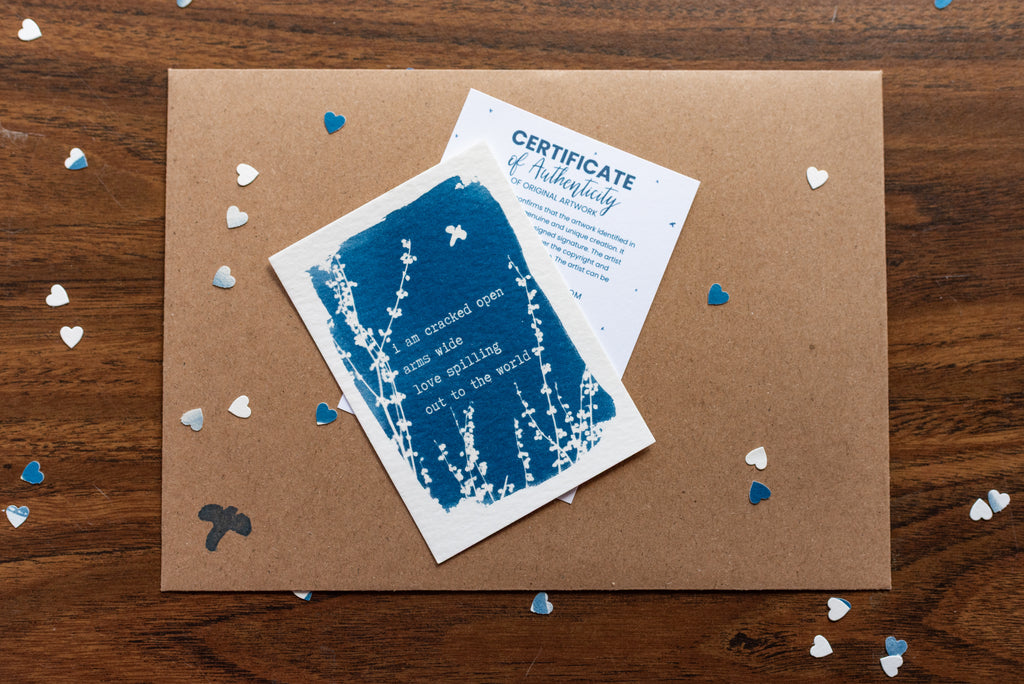 Dear Wild Heart COLLECTION 1 Catch-up package