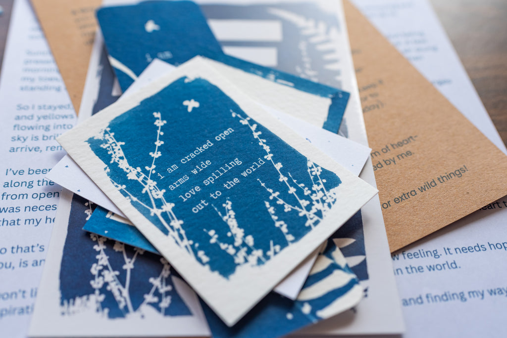Dear Wild Heart COLLECTION 1 Catch-up package